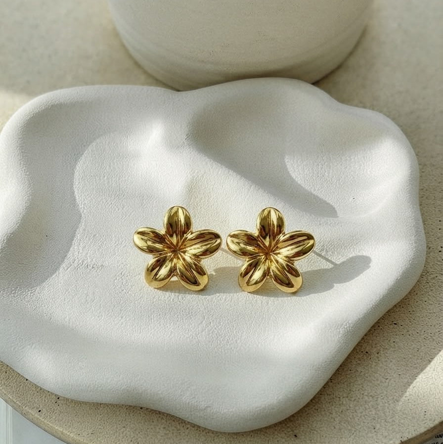 Aretes Giorgia